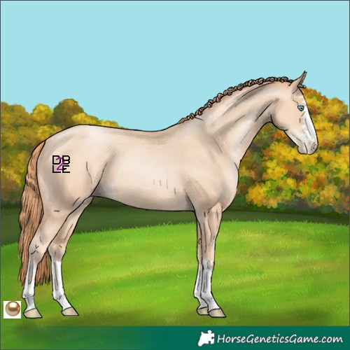 Horse Color:Amber Champagne Pearl 
