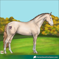 Horse Color:Amber Champagne Pearl 