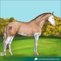 Horse Color:Bay Pearl Splash