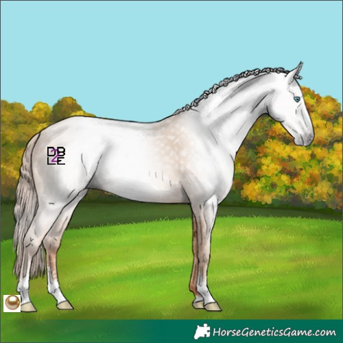 Horse Color:Gray Amber Champagne Pearl Sabino