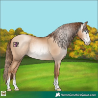 Horse Color:Gray Amber Champagne Pearl Sabino 