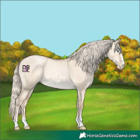 Horse Color:Chocolate Palomino Pearl Dun