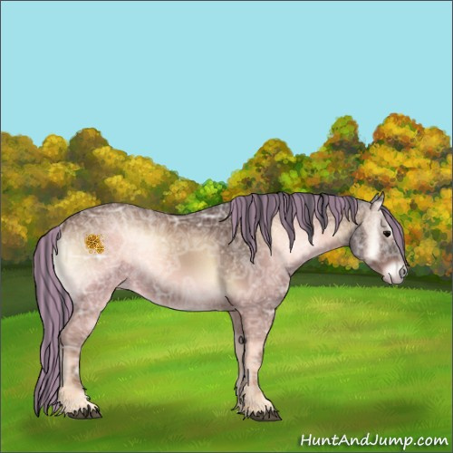 Horse Color:Painted Brown Ice Onyx 