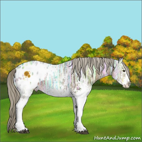 Horse Color:White Spotted Chocolate Palomino Ice Blanket 