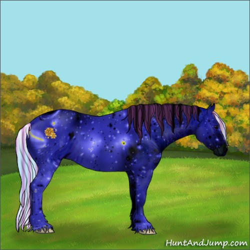 Horse Color:ERROR: UNKNOWN ANOMALY