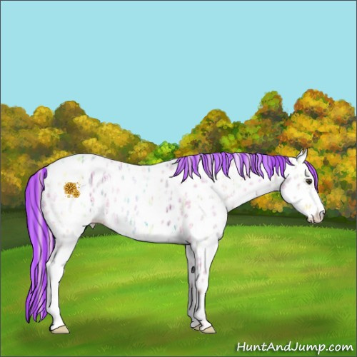Horse Color:Painted Watercolor Palomino Ice Sabino Appaloosa 