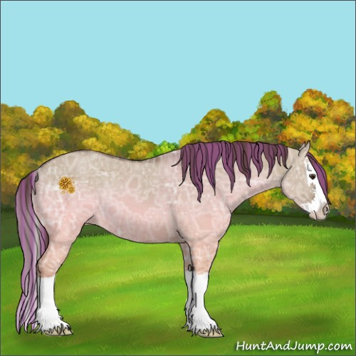 Horse Color:Painted Liver Red Dun Ice Splash Rabicano 