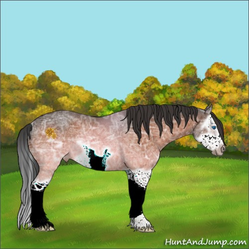 Horse Color:Bay Ice Splash Frame Rabicano 