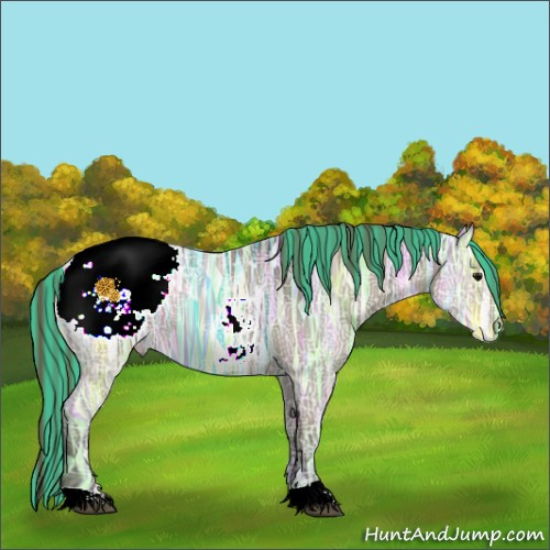 Horse Color:Painted Smoky Grullo Ice Appaloosa 