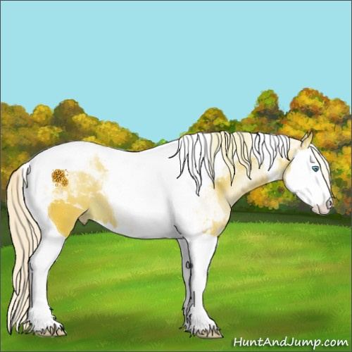 Horse Color:Silver Sable Cream Champagne Pearl Splash Tobiano 