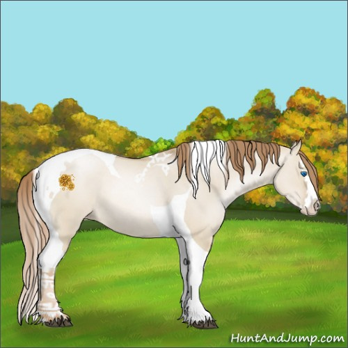 Horse Color:Smoky Grullo Pearl Splash Tobiano 