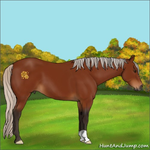 Horse Color:Gray Silver Brown 