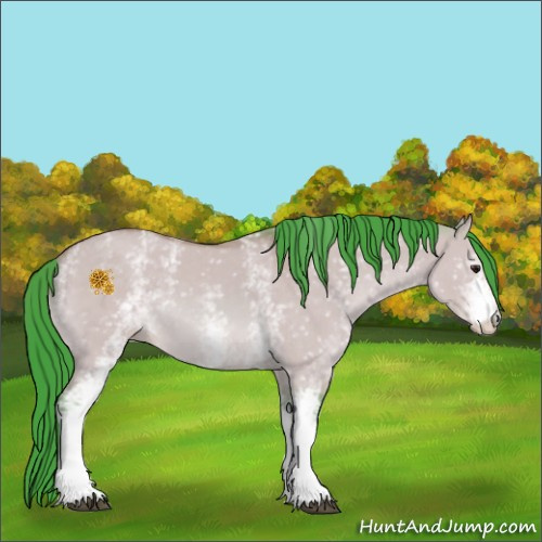 Horse Color:Watercolor White Spotted Buckskin Dun 