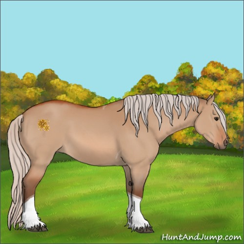 Horse Color:Silver Bay Dun Tobiano 