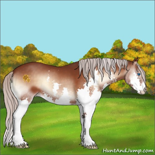 Horse Color:Chocolate Silver Brown Onyx Splash 
