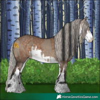 Horse Color:Brown Dun and White Spotted Silver Brown Dun