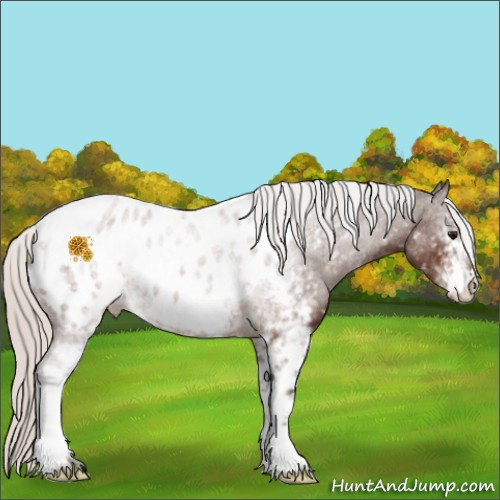 Horse Color:White Spotted Silver Brown Appaloosa 