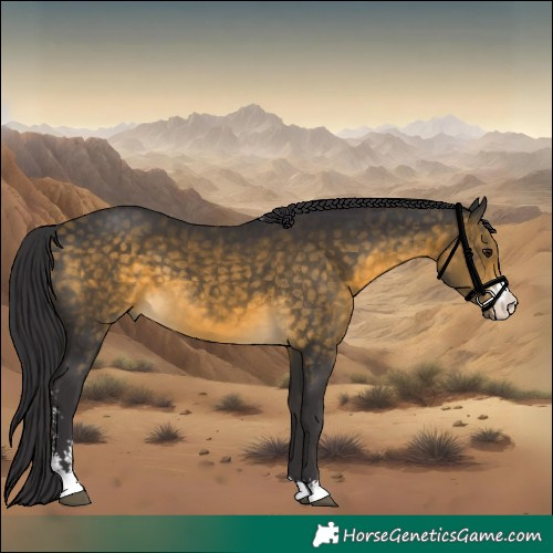 Horse Color:Buckskin Sabino 