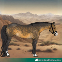 Horse Color:Buckskin Sabino 
