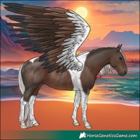 Horse Color:Silver Black Tobiano Rabicano 