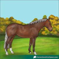 Horse Color:Silver Brown 