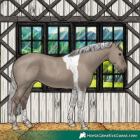 Horse Color:Silver Grullo Tobiano