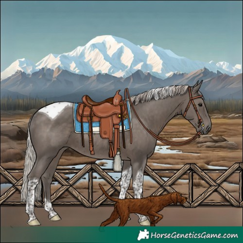 Horse Color:Silver Black Tobiano Rabicano