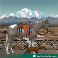 Horse Color:Silver Black Tobiano Rabicano