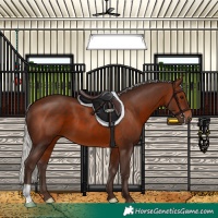Horse Color:Silver Brown 