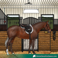 Horse Color:Silver Brown