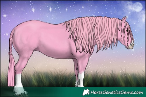 Horse Color:Watercolor White Spotted Black 