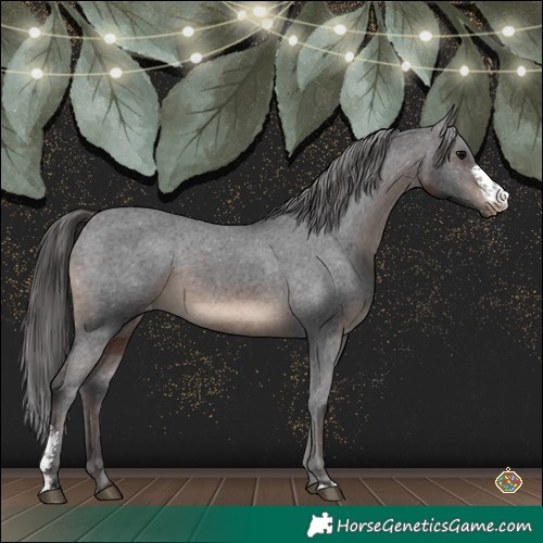 Horse Color:Brown Sabino Varnish