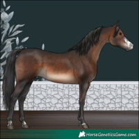 Horse Color:Brown Sabino