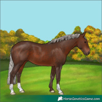 Horse Color:Silver Brown