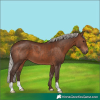 Horse Color:Silver Brown 