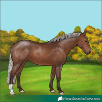 Horse Color:Silver Brown