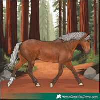 Horse Color:Silver Bay 