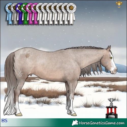 Horse Color:Sable Champagne Sabino Splash Varnish 