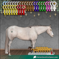 Horse Color:Sable Champagne Sabino Splash Varnish 