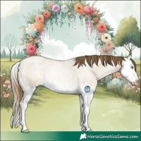 Horse Color:Buckskin Roan Pearl Dun Splash 