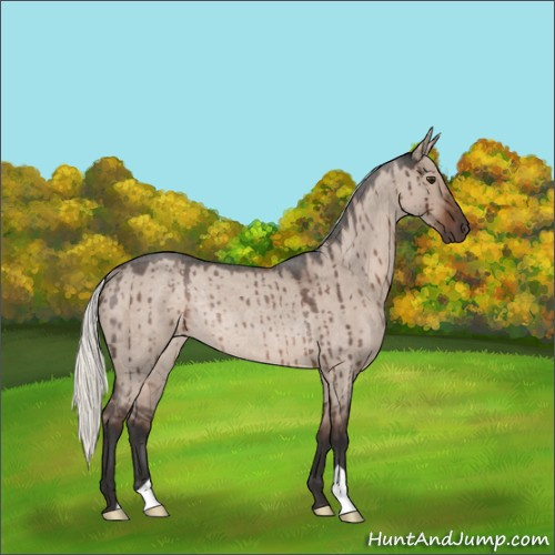 Horse Color:Liver Red Dun Roan Mushroom Rabicano Brindle