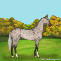 Horse Color:Liver Red Dun Roan Mushroom Rabicano Brindle 