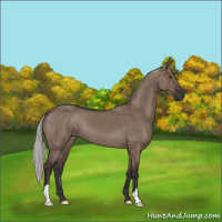 Horse Color:Liver Red Dun Mushroom Brindle 