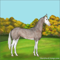 Horse Color:Liver Red Dun Roan Mushroom Splash Brindle 