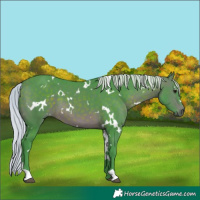 Horse Color:Watercolor White Spotted Silver Brown 