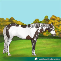 Horse Color:White Spotted Silver Brown Frame 
