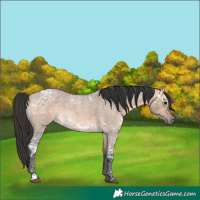 Horse Color:Brown Ice Roan Dun 