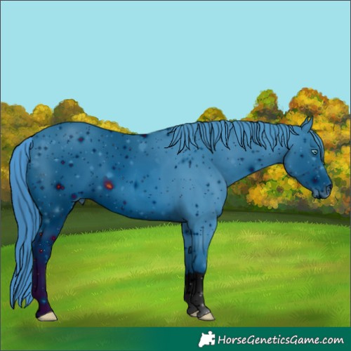 Horse Color:ERROR: UNKNOWN ANOMALY