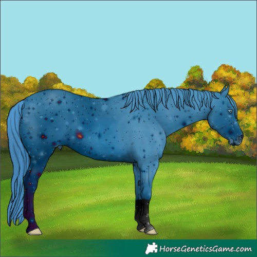 Horse Color:ERROR: UNKNOWN ANOMALY