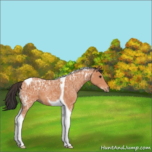 Horse Color:Bay Ice Tobiano